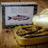Brisling nr. 1